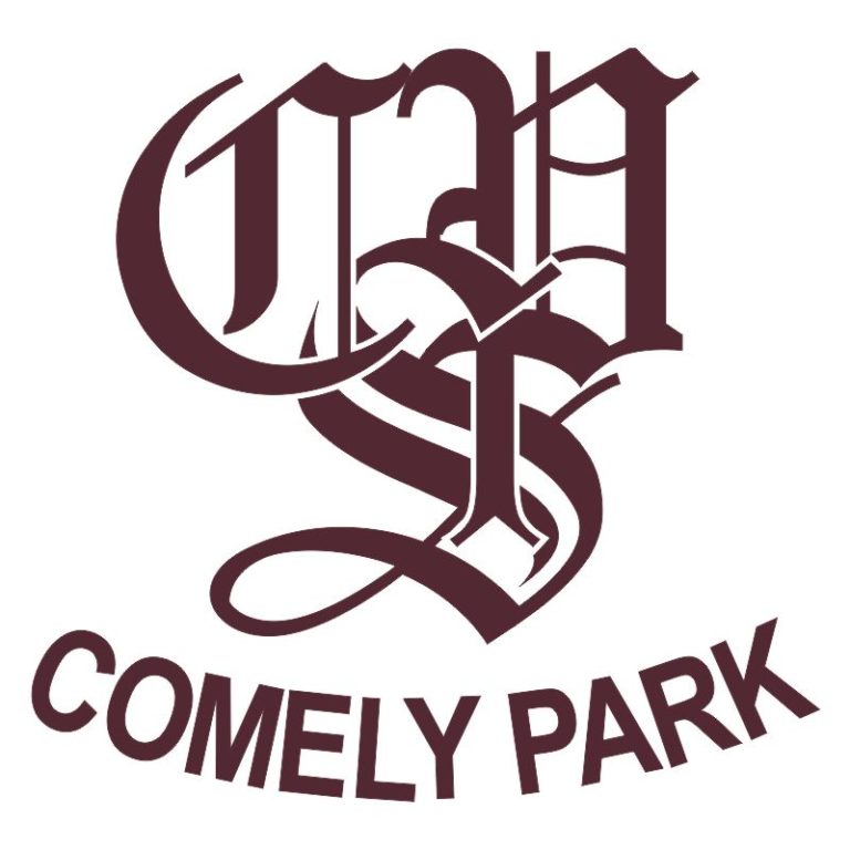 Comely Park Primary School – RJM Sports