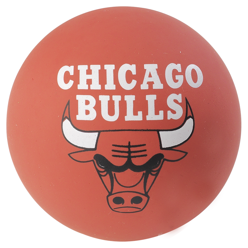 spalding chicago bulls