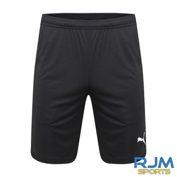 puma liga training shorts