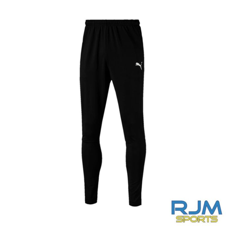 puma men's liga training pants