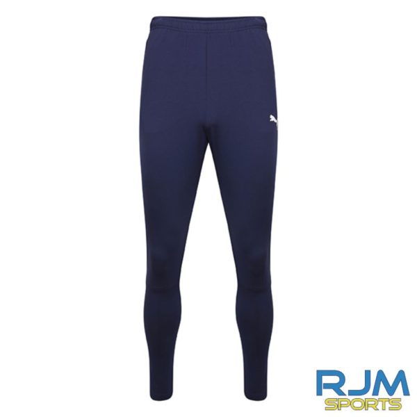 puma team liga training pants