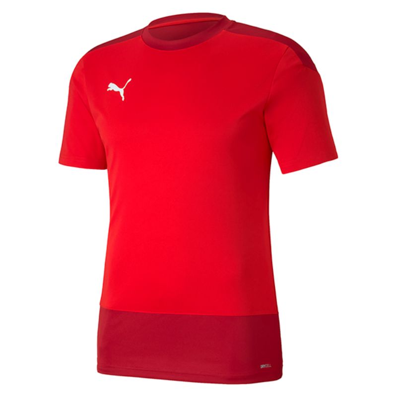 Puma Team Goal Short Sleeve Training Shirt