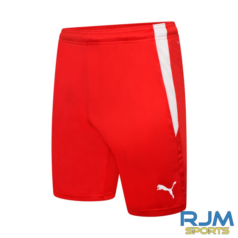 Dunipace FC Players Puma Team Liga Shorts Red