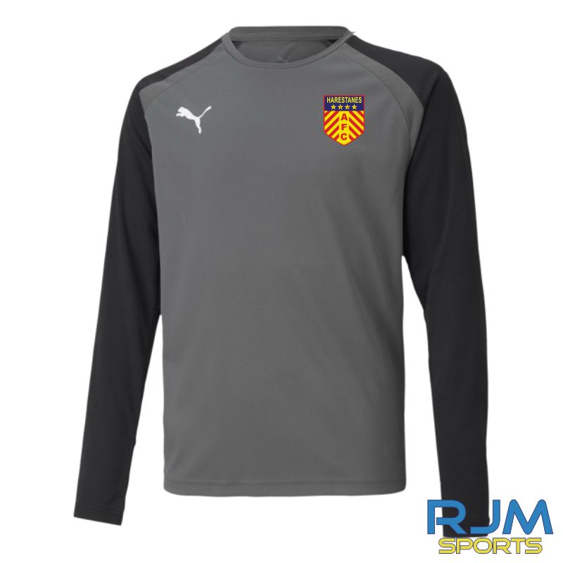 Harestanes AFC Away Goalkeeper Puma Team Pacer Jersey Smoked Pearl