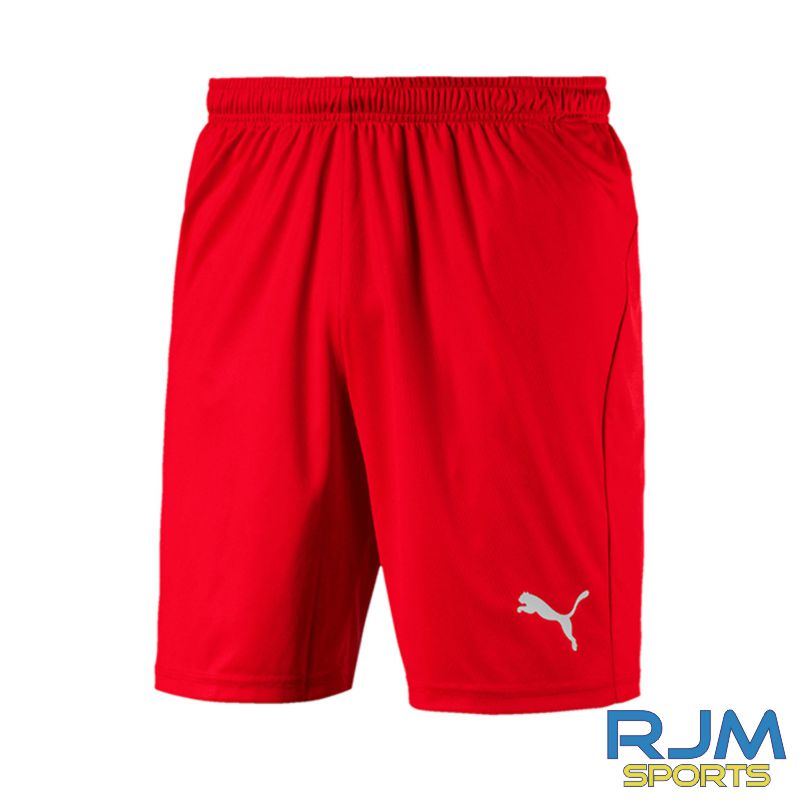 Puma Liga Core Short Red - Clearance