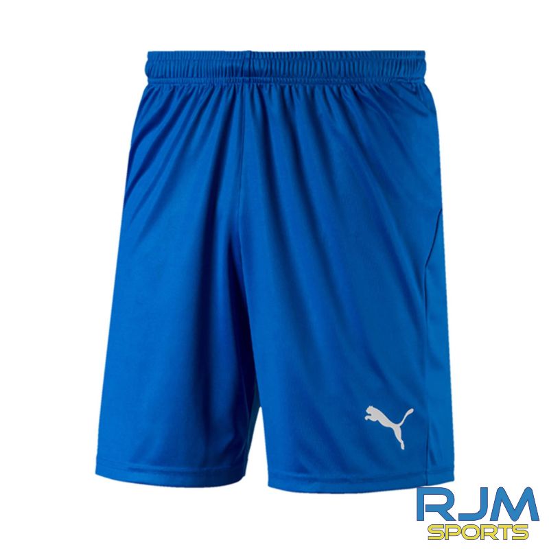 Puma Liga Core Short Royal Blue - Clearance