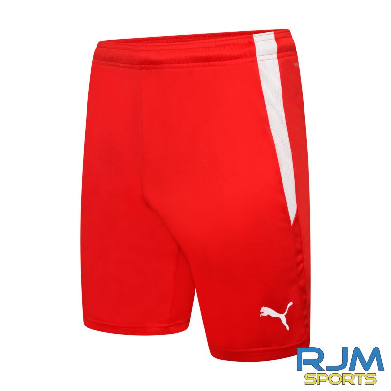 Milton FC Puma Team Liga Shorts Red