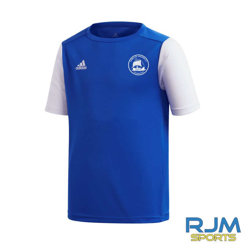 Camelon Juniors Foundation Players Training Adidas Estro 19 Jersey Bold Blue